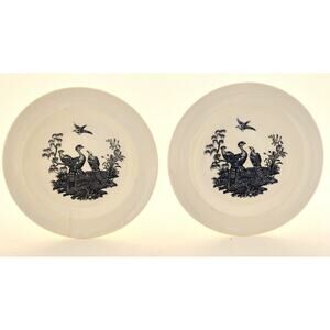 Plates-Wedgwood-Liverpool Birds-Black White-Small-Butter Dish-Display-6"